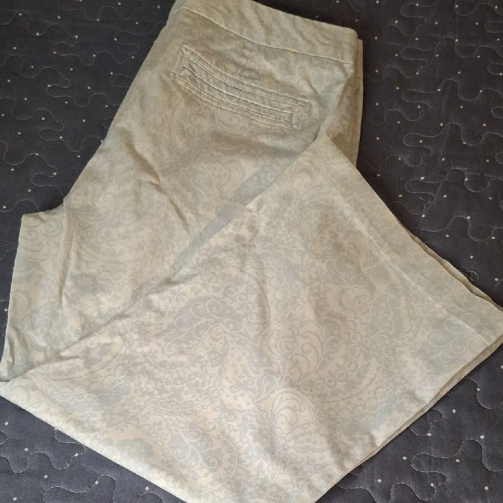 Express Elegant Paisley Patterned Pants size 4